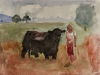 woman and a bull